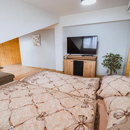 Bed & Breakfast Mio Nonno Ex Bizeljcan
